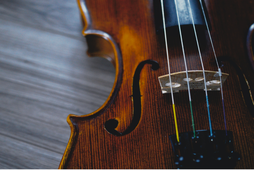 violin photo
